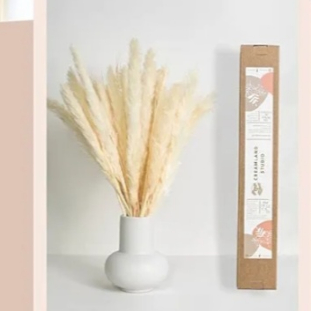 🎉HP NIB 50 Pcs Pampas Dried Grass Oats Wheat Flowers Bohemian Box 17.5 " Ivory